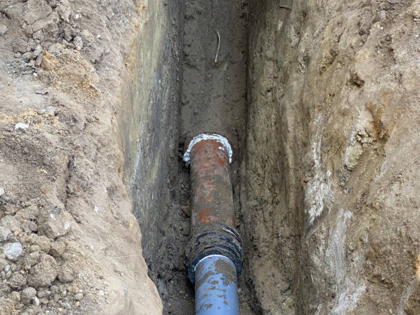 Best Flood restoration services  in Midway, GA