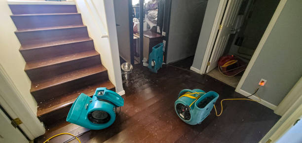 Best Water damage contractors near me  in Midway, GA