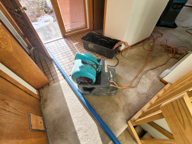 Best Water damage cleanup near me  in Midway, GA