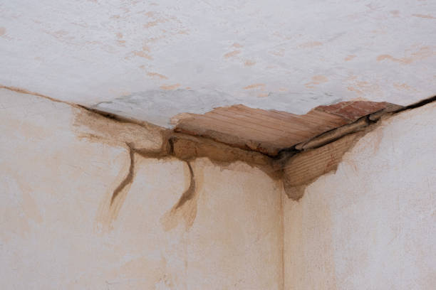 Best Water damage cleanup near me  in Midway, GA