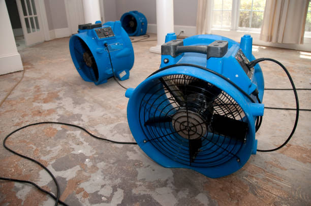 Best Emergency water damage restoration  in Midway, GA