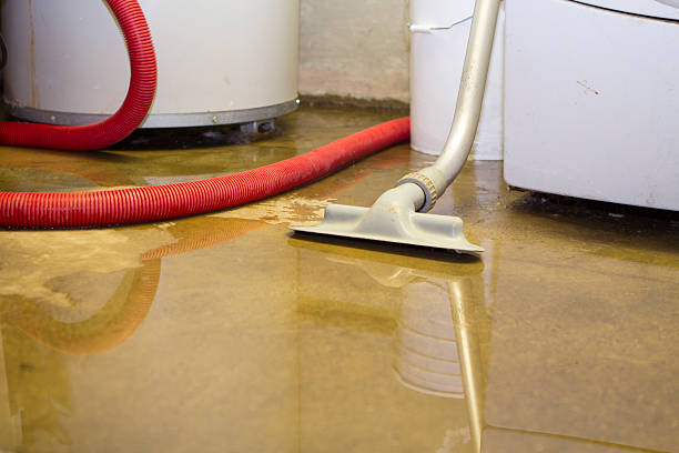 Best 24/7 water damage repair  in Midway, GA