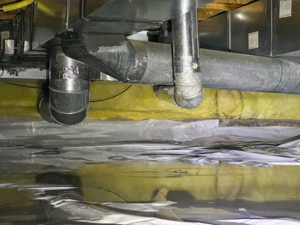 Best Flood damage cleanup  in Midway, GA