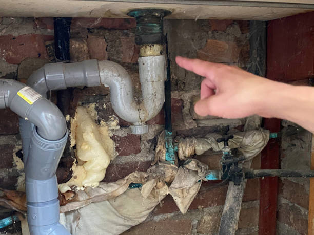 Best Professional water damage repair  in Midway, GA
