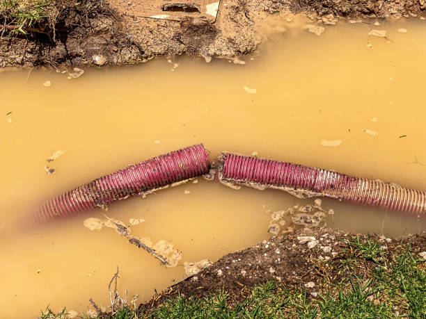 Best Water damage restoration near me  in Midway, GA