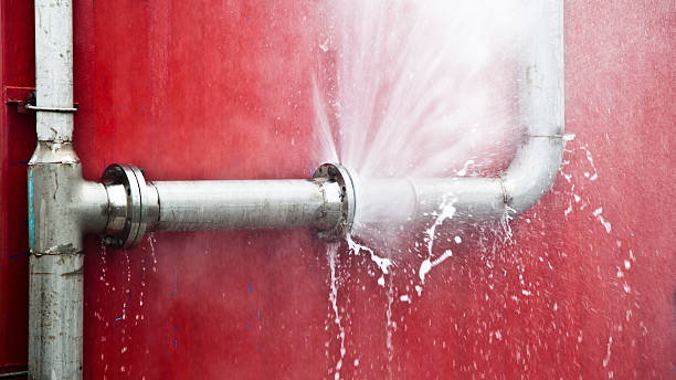 Best Professional water damage repair  in Midway, GA